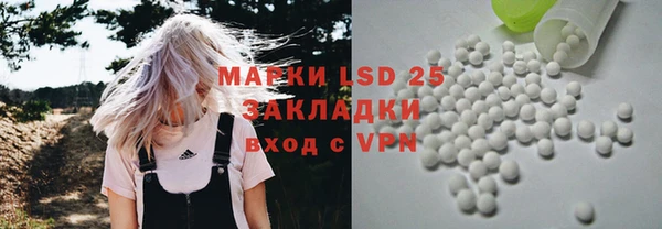 PSILOCYBIN Алзамай