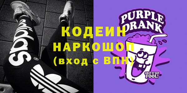 PSILOCYBIN Алзамай