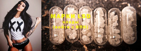 PSILOCYBIN Алзамай