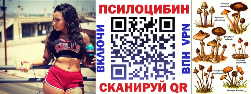 Галлюциногенные грибы ЛСД МЕГА ONION Петрозаводск