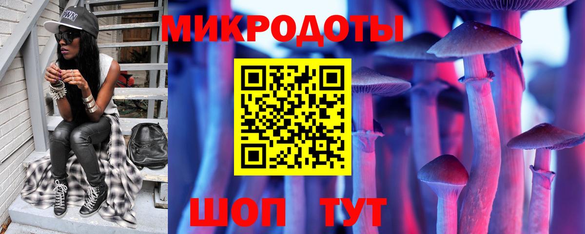 Псилоцибиновые грибы Psilocybe Петрозаводск
